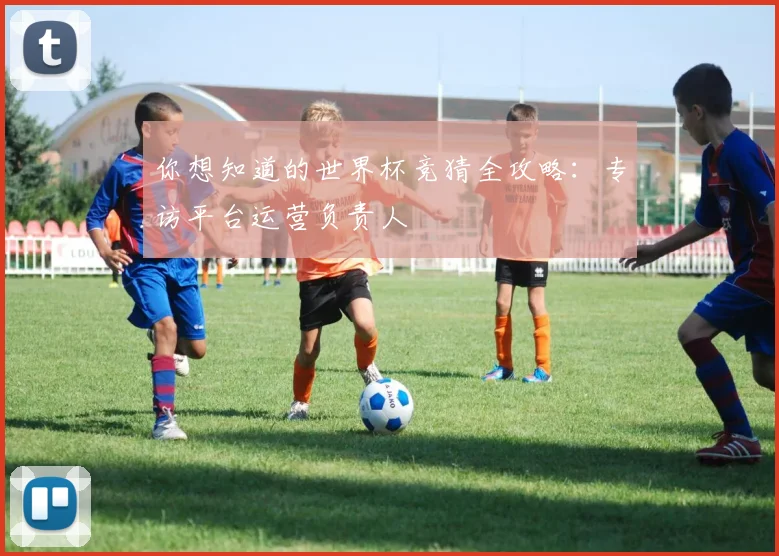 你想知道的世界杯竞猜全攻略:专访平台运营负责人