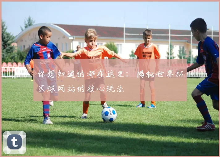 你想知道的都在这里:揭秘世界杯买球网站的核心玩法