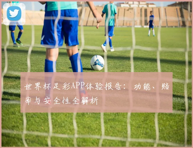 世界杯足彩APP体验报告：功能、赔率与安全性全解析