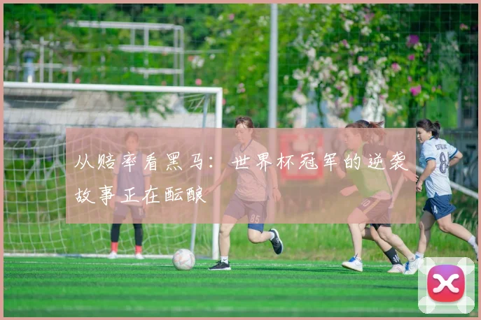 从赔率看黑马:世界杯冠军的逆袭故事正在酝酿