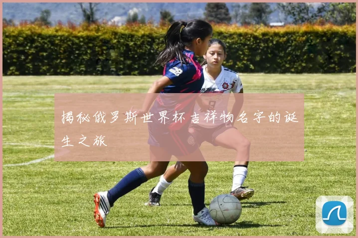 揭秘俄罗斯世界杯吉祥物名字的诞生之旅