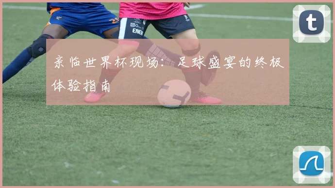 亲临世界杯现场:足球盛宴的终极体验指南