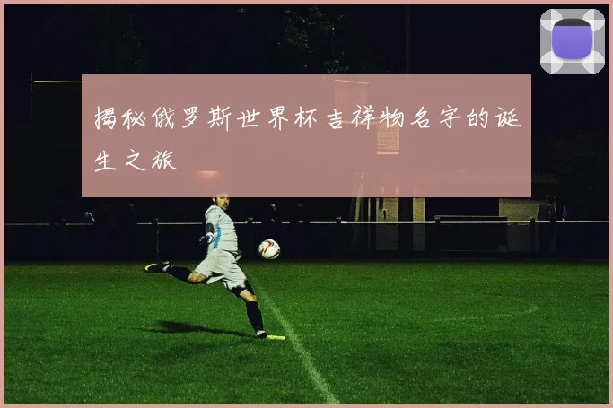 揭秘俄罗斯世界杯吉祥物名字的诞生之旅