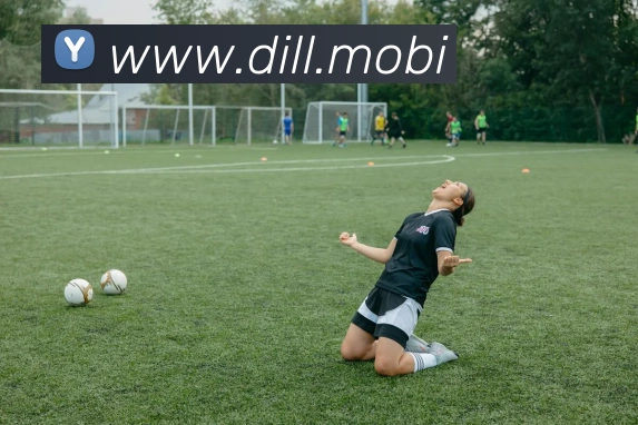 华体在线登录入口平台生态图