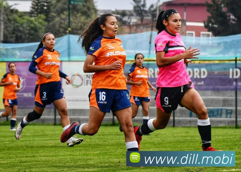 华体在线登录入口全站App